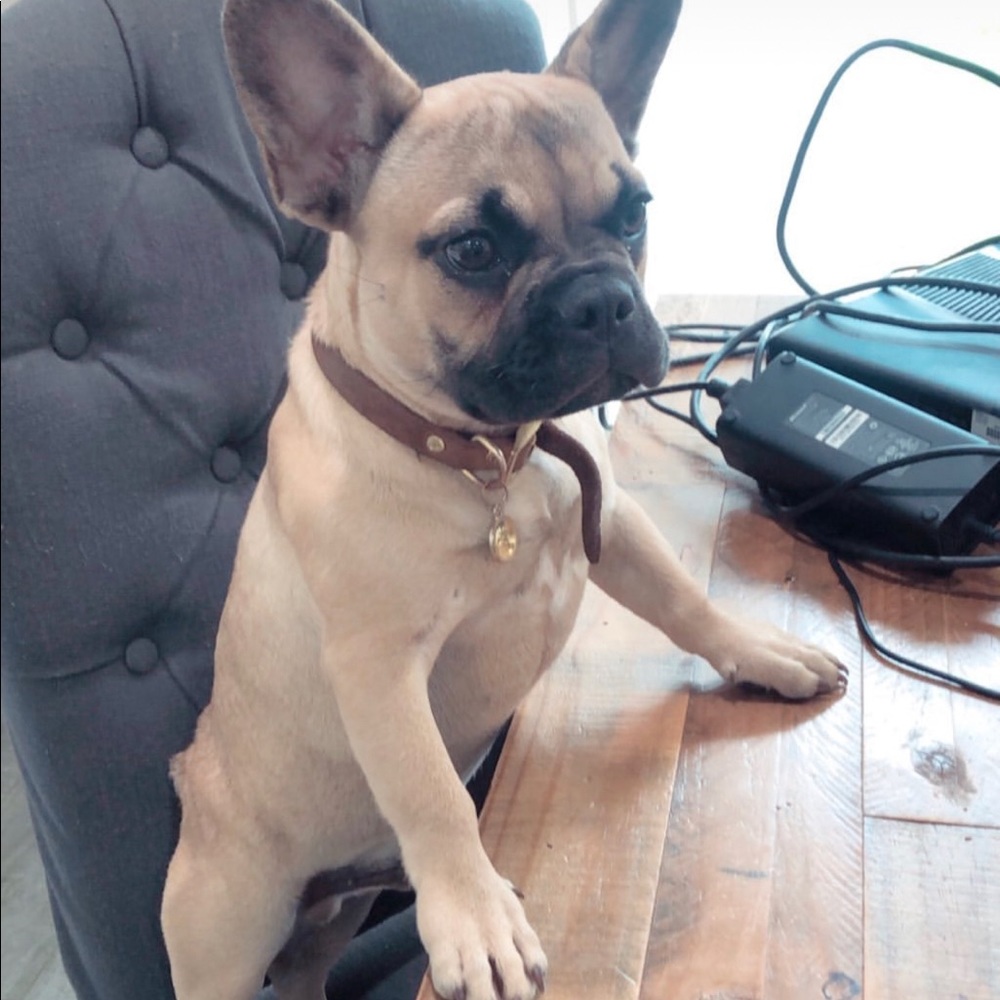 Meet your Posher, Aida